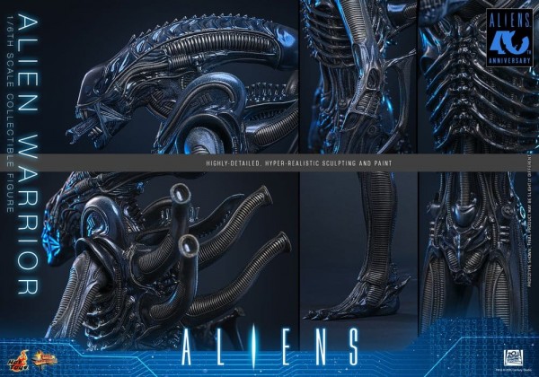 Alien Movie Masterpiece Actionfigur 1/6 Alien Warrior 39 cm