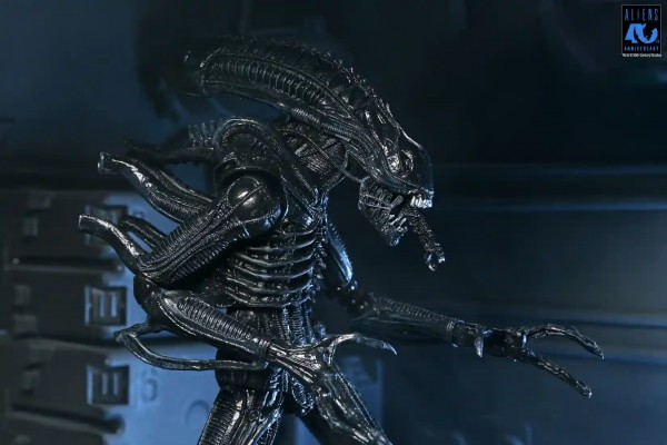 Aliens 40th Anniversary Warrior Xenomorph Black Ultimate Actionfigur