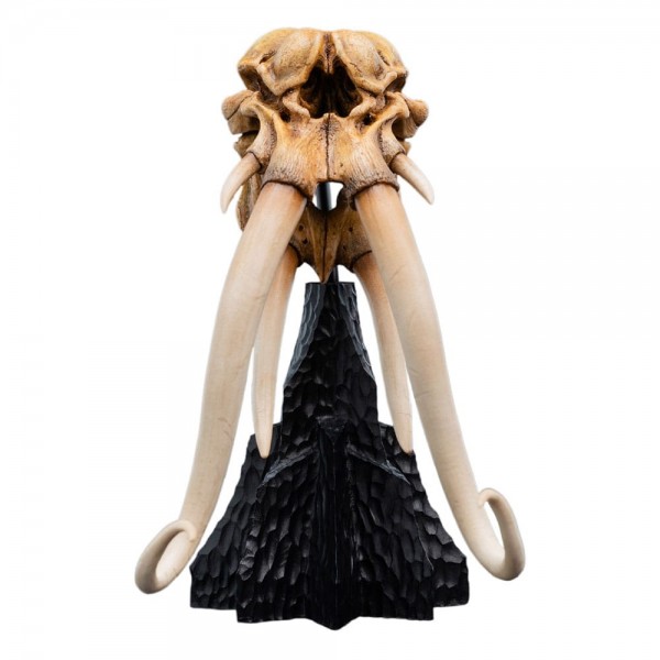 Herr der Ringe Mini Statue Skull of a Mumak 15 cm