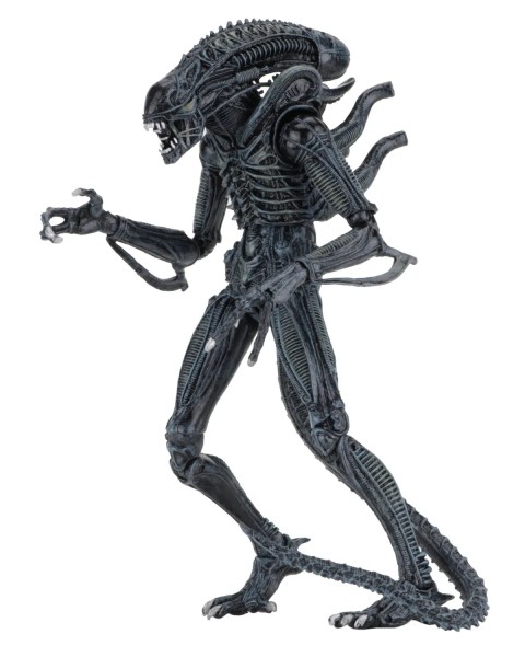 Aliens Alien Warrior Blue 1986 Ultimate Action Figure