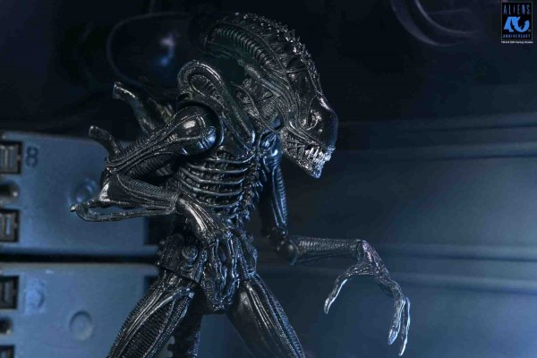 Aliens 40th Anniversary Warrior Xenomorph Black Ultimate Actionfigur