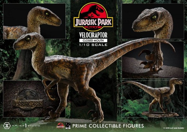 Jurassic Park Prime Collectibles Statue 1:10 Velociraptor Closed Mouth 19 cm