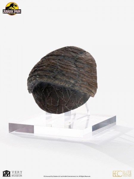 Jurassic Park 1/1 Replica Triceratops Toenail 16 cm