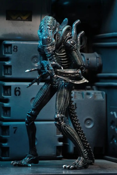 Aliens Alien Warrior Blue 1986 Ultimate Action Figure