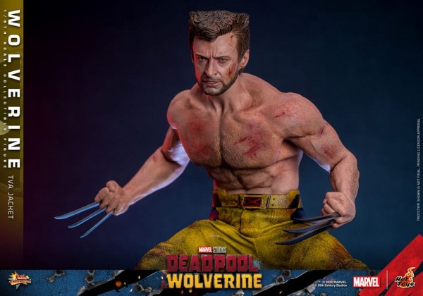 Deadpool & Wolverine Movie Masterpiece Actionfigur 1/6 Wolverine (TVA Jacket Version) 31 cm