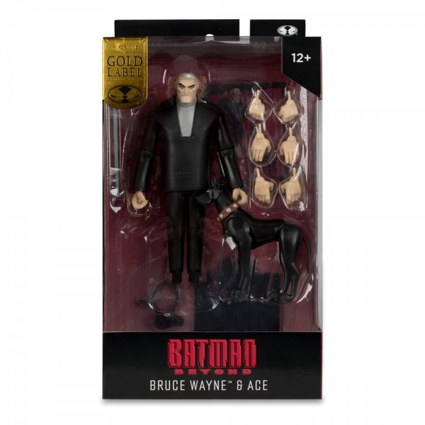 DC Direct Action Figure Bruce Wayne & Ace (Batman Beyond) Gold Label15 cm