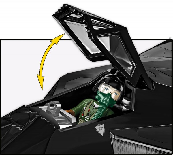 Armed Forces - Lockheed F-117 Nighthawk