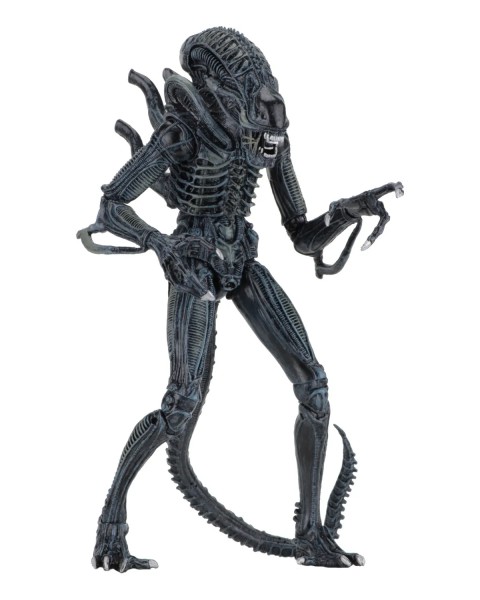 Aliens Alien Warrior Blue 1986 Ultimate Action Figure