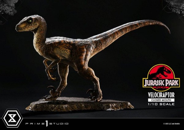 Jurassic Park Prime Collectibles Statue 1:10 Velociraptor Closed Mouth 19 cm