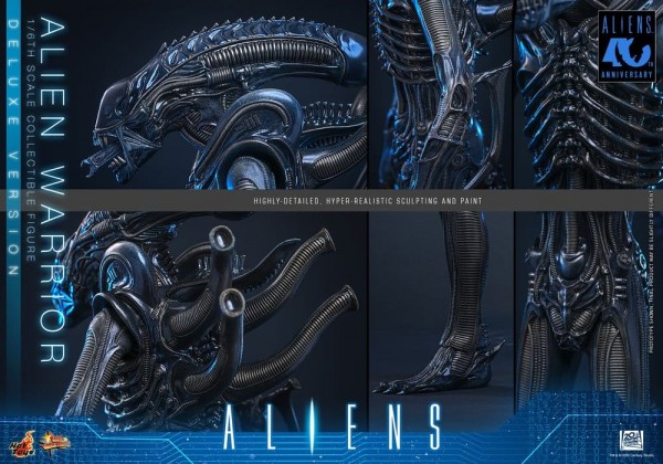 Alien Movie Masterpiece Actionfigur 1/6 Alien Warrior (Deluxe Version) 39 cm