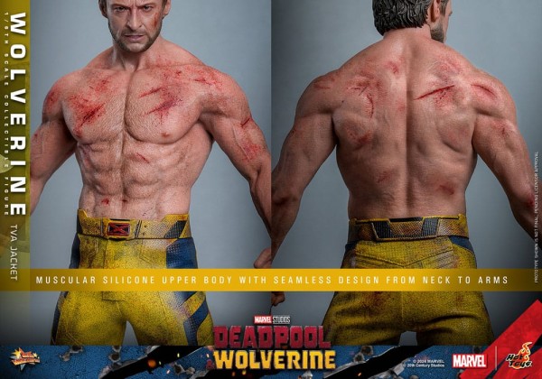 Deadpool & Wolverine Movie Masterpiece Action Figure 1/6 Wolverine (TVA Jacket Version) 31 cm