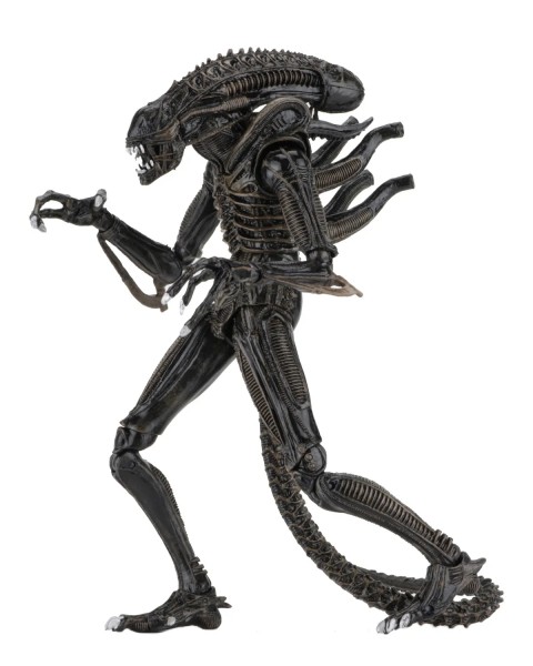 Aliens Alien Warrior Brown 1986 Ultimate Actionfigur