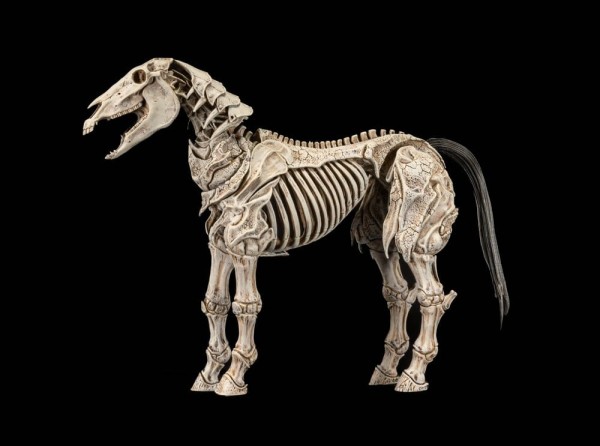 Mythic Legions: Reinforcement 3 Actionfigur Skeleton Steed Legion Builder
