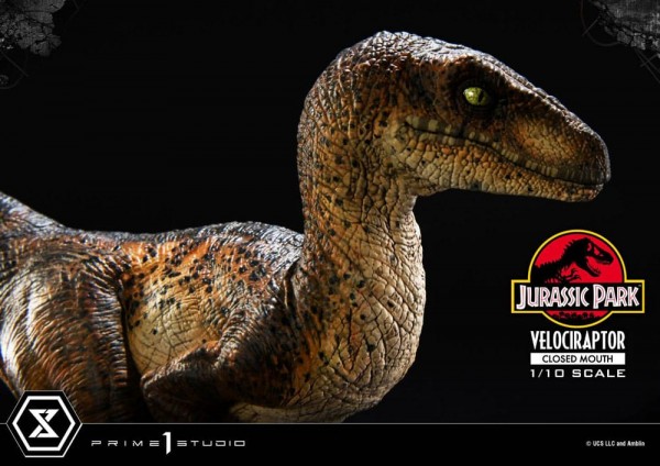 Jurassic Park Prime Collectibles Statue 1:10 Velociraptor Closed Mouth 19 cm