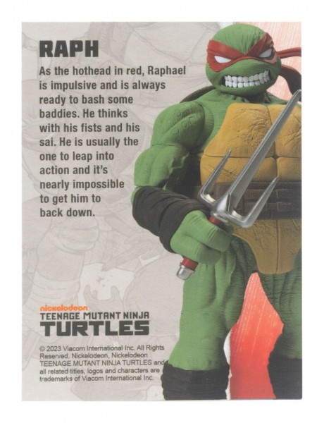 Teenage Mutant Ninja Turtles BST AXN Action Figure Raphael (IDW Comics) 13 cm