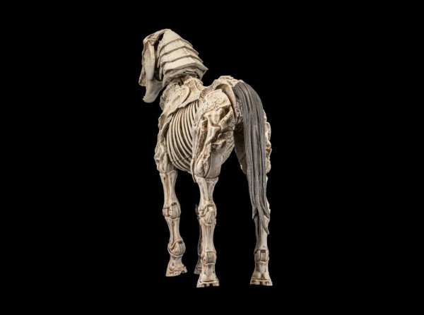 Mythic Legions: Reinforcement 3 Actionfigur Skeleton Steed Legion Builder