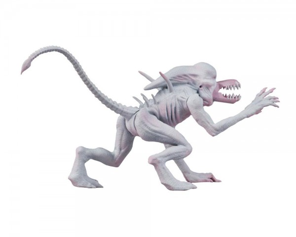 Alien & Predator Classics Action Figure Set Series 1 (2)