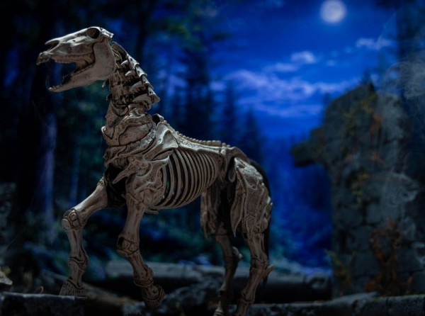 Mythic Legions: Reinforcement 3 Actionfigur Skeleton Steed Legion Builder