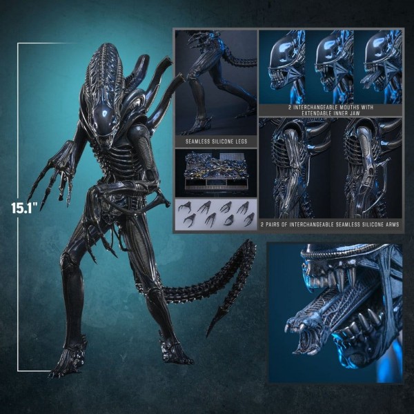 Alien Movie Masterpiece Actionfigur 1/6 Alien Warrior 39 cm