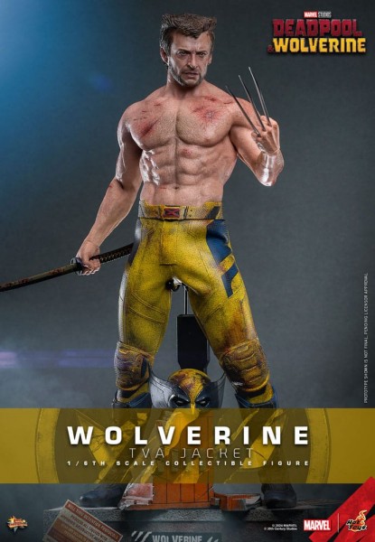 Deadpool & Wolverine Movie Masterpiece Actionfigur 1/6 Wolverine (TVA Jacket Version) 31 cm