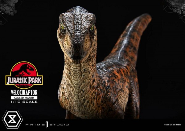 Jurassic Park Prime Collectibles Statue 1:10 Velociraptor Closed Mouth 19 cm