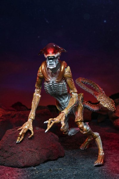 Aliens Action Figure Panther Alien (Kenner Tribute) 23 cm